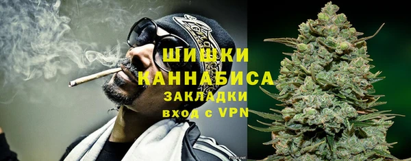 дмт Богородицк