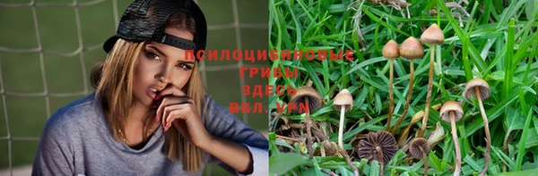 дмт Богородицк