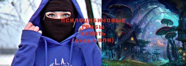 дмт Богородицк